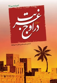 در اوج غربت